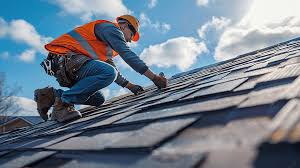 Best Solar Panel Roofing Installation  in La Marque, TX